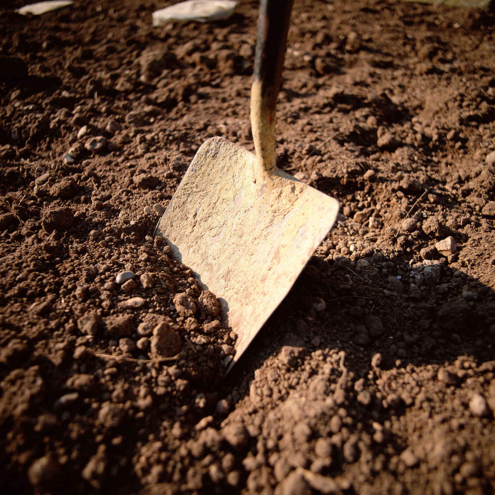 Momentul în care un manager este lovit în cap cu o lopată de un muncitor, din cauza unui loc de parcare