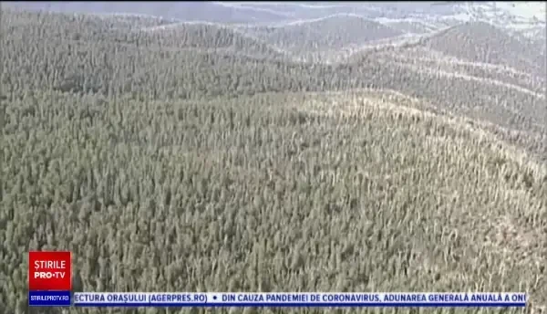 Un copil cu autism a supraviețuit două zile singur în sălbăticia australiană. Cum a fost găsit