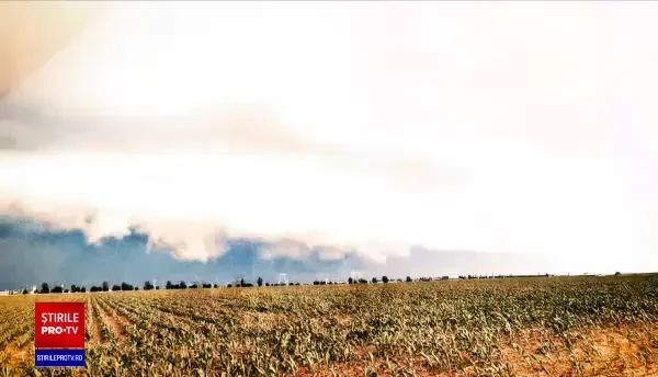 Furtunile au făcut prăpăd în țară. Copaci rupți și zone inundate: „Ăsta-i uragan. Până acum n-am mai văzut așa ceva”. VIDEO