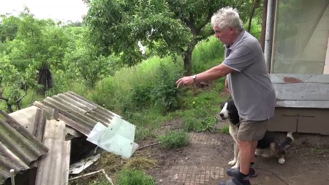 Un urs a băgat spaima în localnicii din stațiunea Târgu Ocna