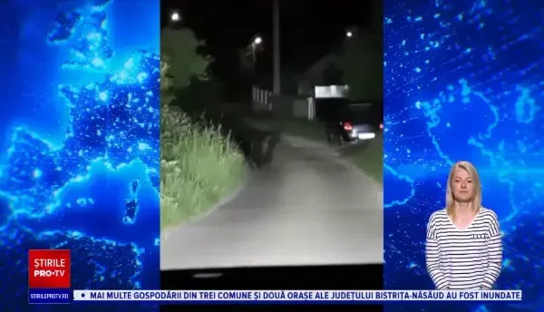 Un urs a băgat spaima în localnicii din stațiunea Târgu Ocna