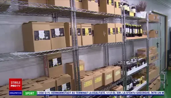 Afacerea în care și-a investit toți banii o familie din București. Acum se bucură de profit