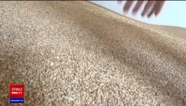 Pandemia a provocat prăbușirea exporturilor României. Singurele produse care au avut cerere