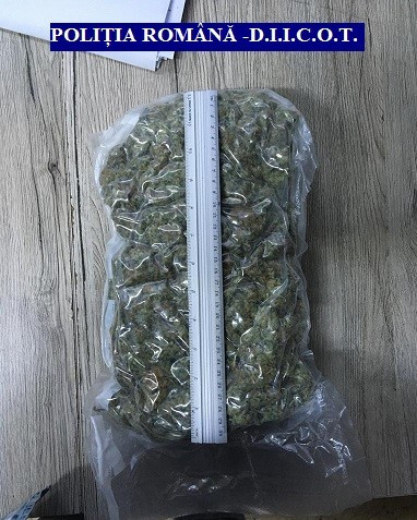 cannabis captura diicot arad