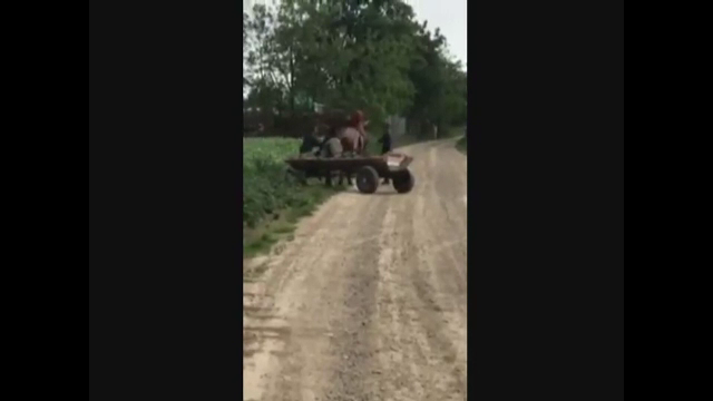 Au torturat un cal, apoi au vrut să-l bată și pe cel care i-a filmat. Ce riscă agresorii, tată și fiu