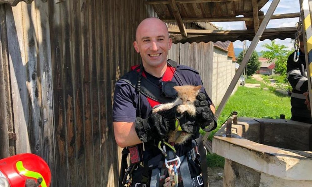 Un detașament de pompieri a salvat un pisoi dintr-o fântână adâncă de 25 de metri