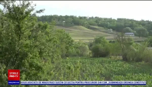 Dramă în Vaslui. Un tată și-a băgat fiul în comă din greșeală