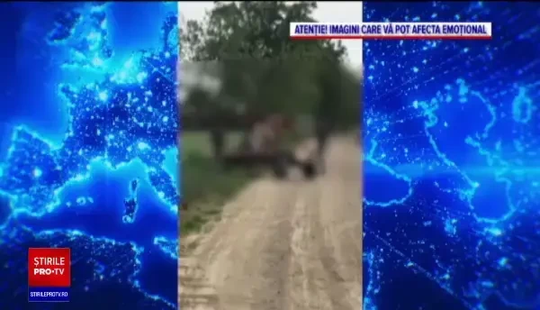 Au torturat un cal, apoi au vrut să-l bată și pe cel care i-a filmat. Ce riscă agresorii, tată și fiu