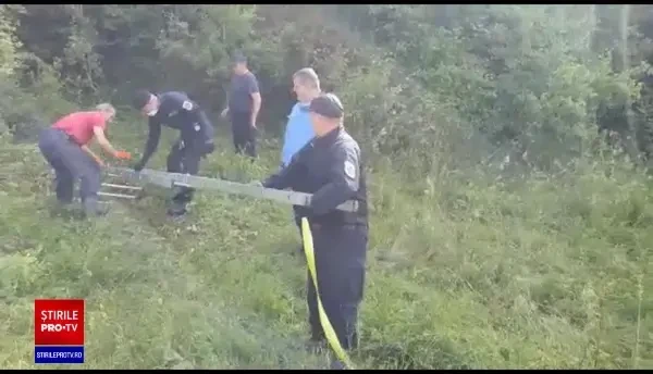 Misiune imposibilă în Brașov. Un pui de urs căzut într-un puț foarte adânc a fost salvat