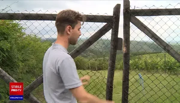 Afacerile producătorilor de vin s-au prăbușit și cu 80 %. Ce au făcut viticultorii pentru a supraviețui