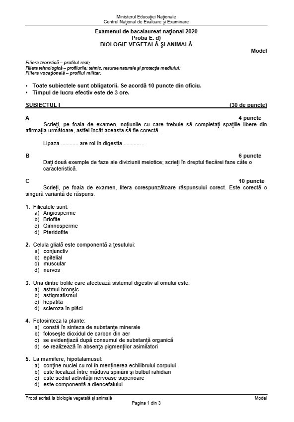 Biologie Vegetala - 3