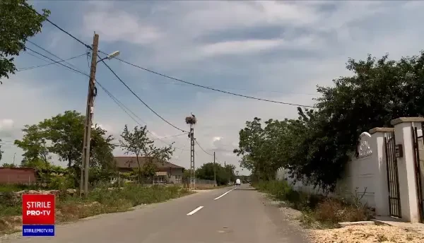 Plajele sălbatice, cea mai nouă atracție pentru cei ce lucrează de acasă. "Un mic colț de rai"