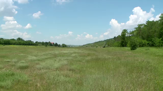 Bărbat acuzat de viol în Iași. A fost găsit în chiloți și cu pantofi de damă într-un tufiș