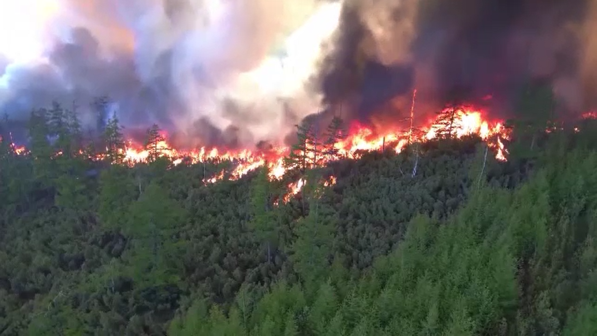 Temperaturile ridicate au produs peste 50 de focare de incendiu în peninsula Kamchatka