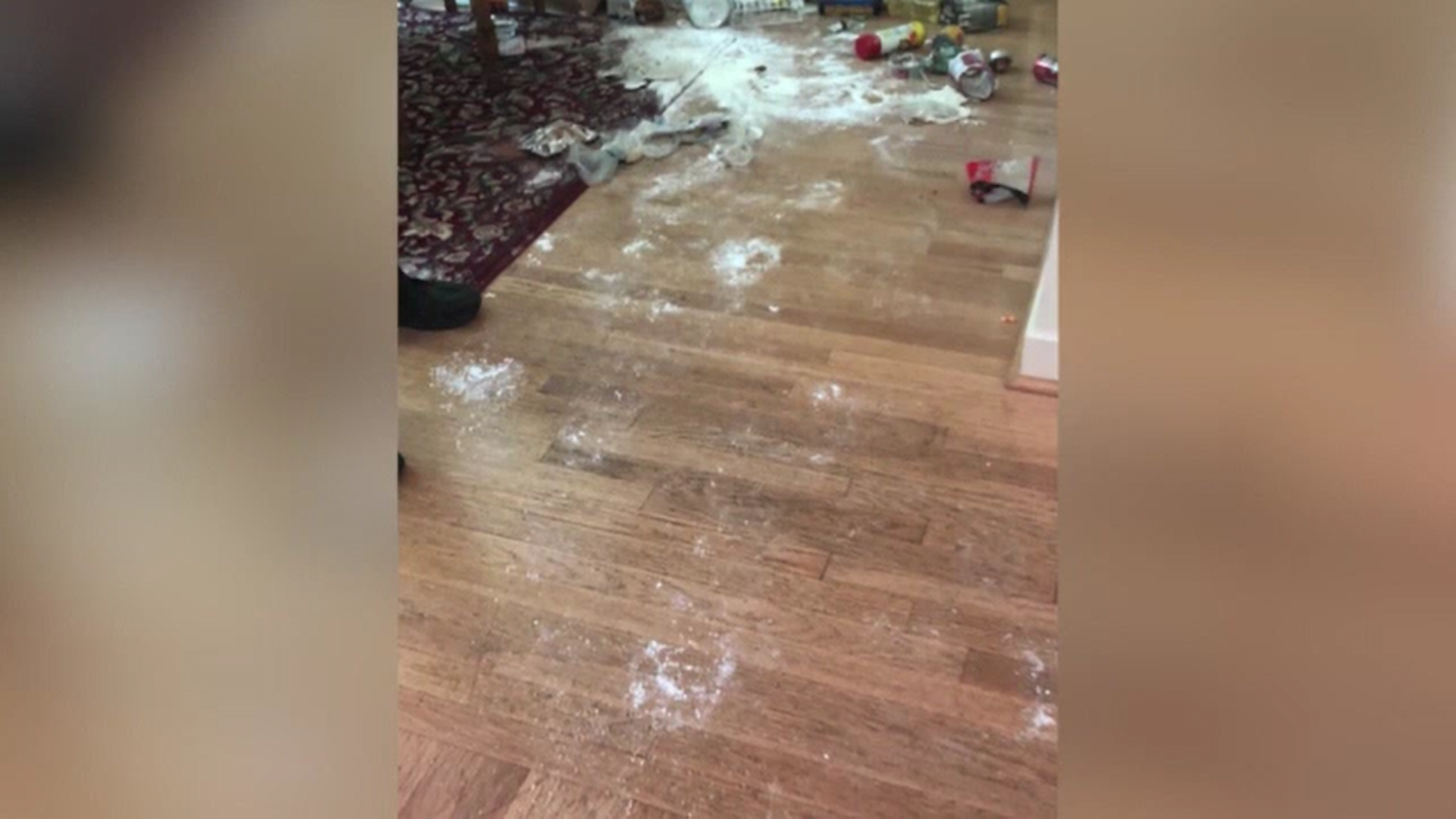 Un urs a intrat prin efracţie într-o locuinţă din statul american Connecticut și a mâncat tot ce a găsit