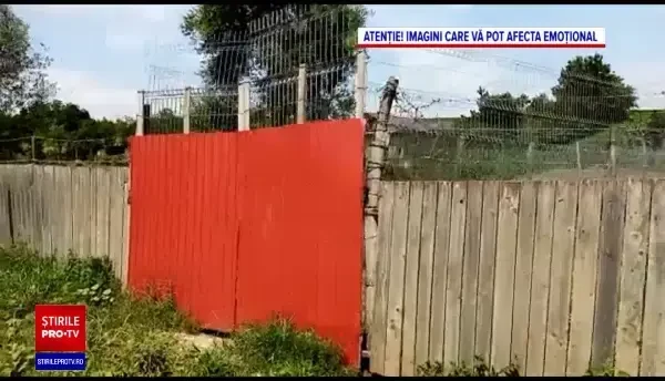 Răsturnare de situație în cazul tânărului legat cu lanțul de copac. Nu mama e vinovată: ”Îmi iubesc copilul”