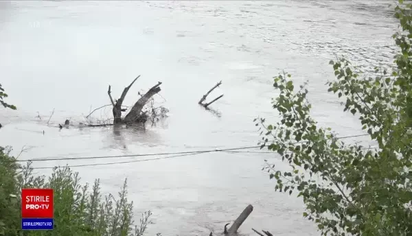 Operațiune de salvare contracronometru. Cum a fost scos un copil în ultima clipă din apele Crișului