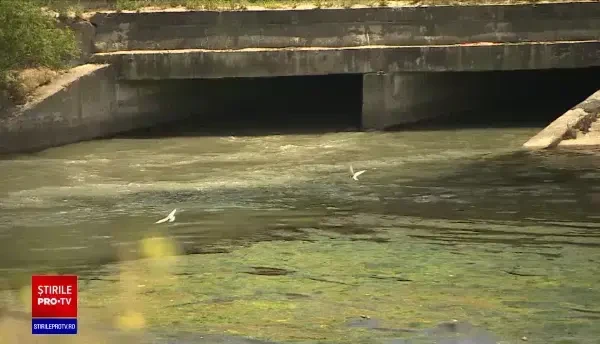 Dâmboviţa, transformată într-un râu de dejecţii. De ce nu merge staţia de epurare Glina