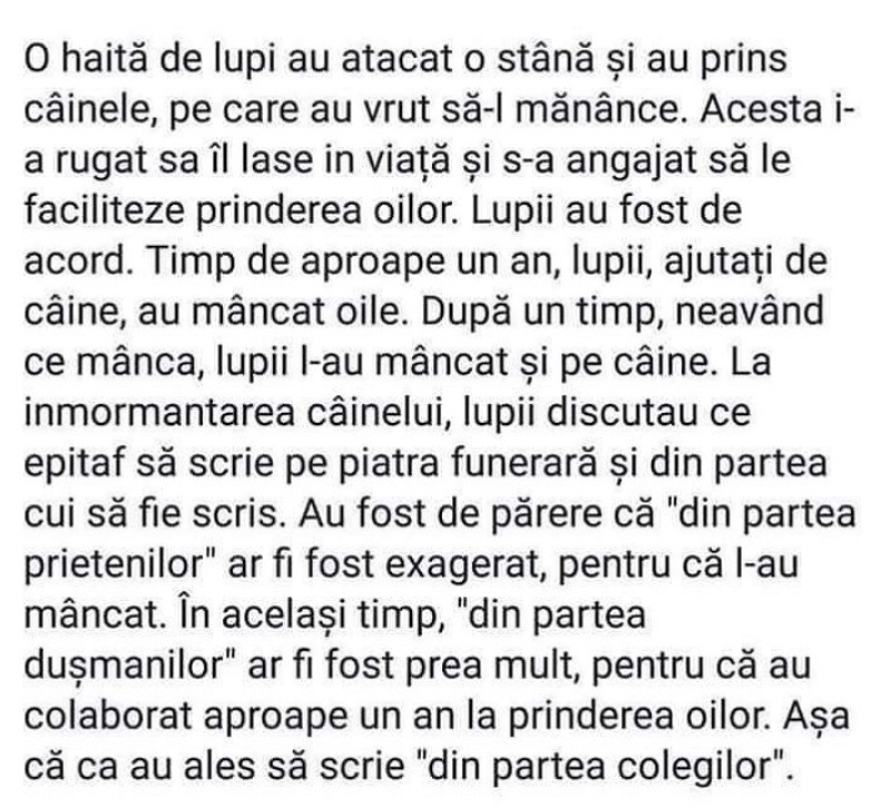 Ozana Barabancea, mesaj ciudat pe Instagram