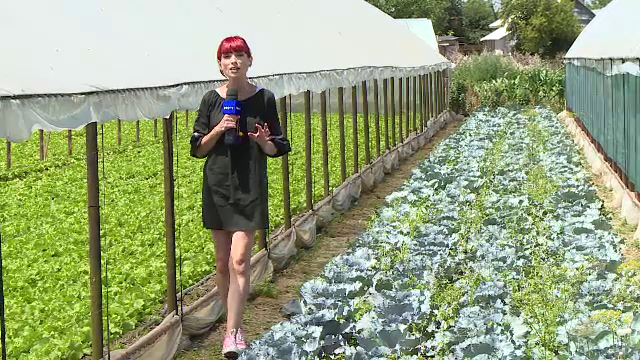 Pandemia a lovit crunt în industria alimentară. Micii producători nu vor putea fi despăgubiți de stat