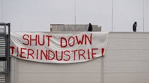 Protest la abatorul din Germania unde aproape 1.000 de muncitori români au Covid-19