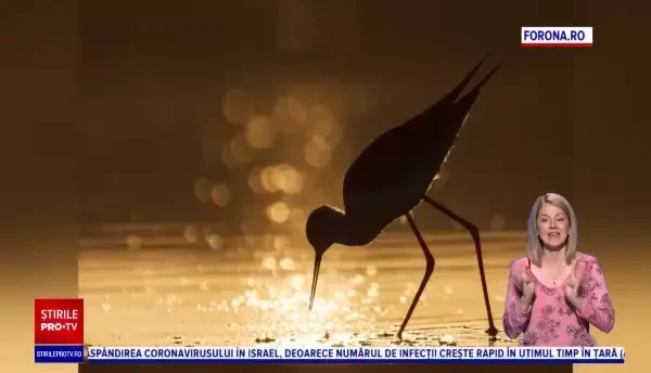 Organizația de fotografi care promovează locurile de poveste din România