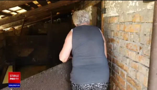 Proiect. Porcii nu mai pot fi hrăniți în gospodărie cu resturi, țăranii au voie cel mult 5 exemplare