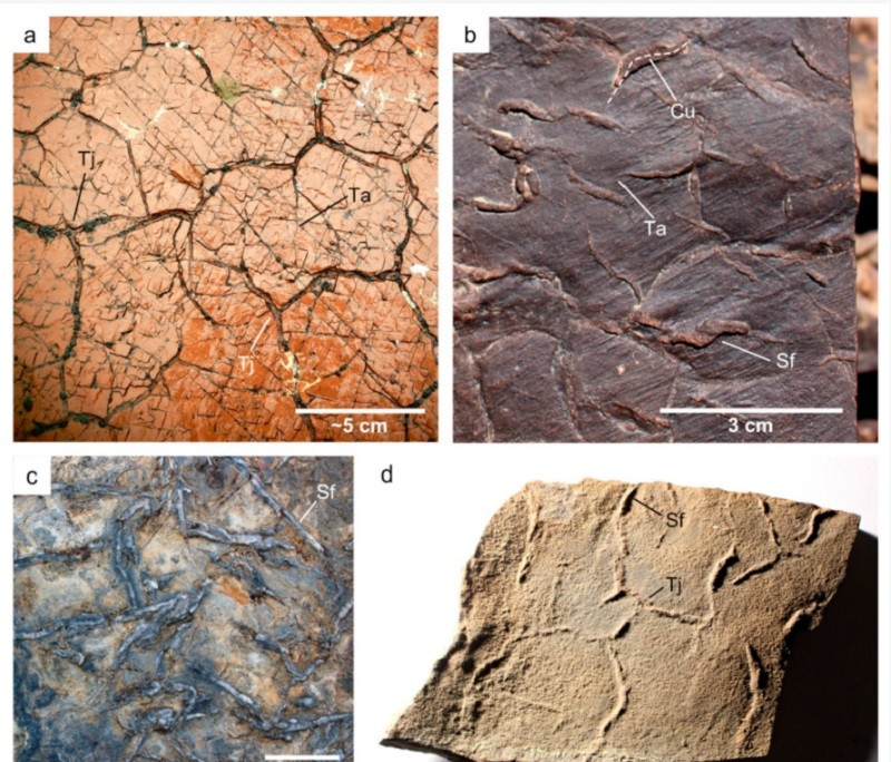 Studiul care ar putea demonstra existența vieții pe Marte - 3