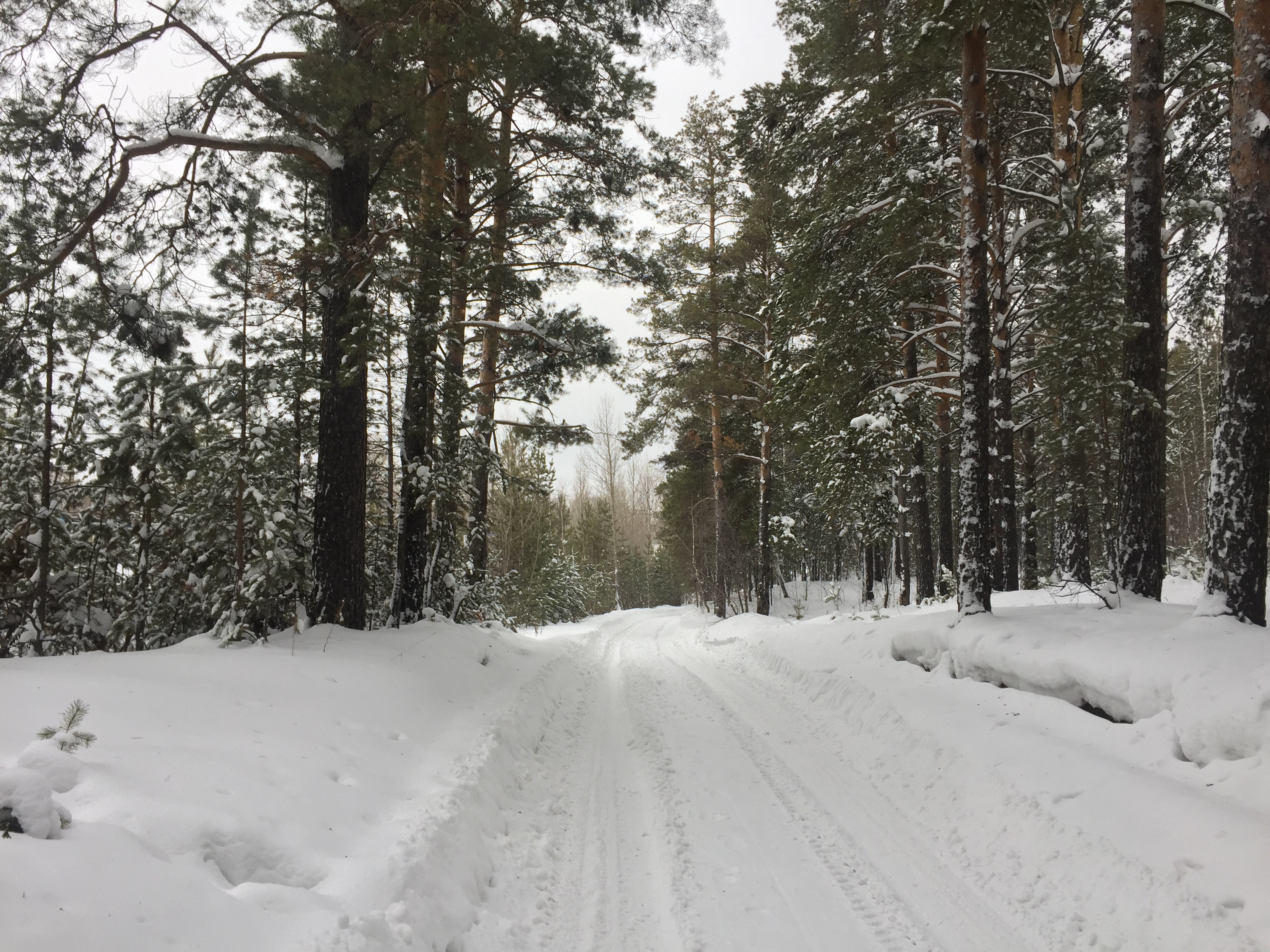 Caniculă la Polul Frigului. De la 38 de grade Celsius, locuitorii s-au trezit cu zăpadă