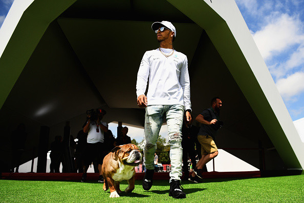 Lewis Hamilton i-a impus o dietă vegană câinelui său. ”E foarte mulțumit”