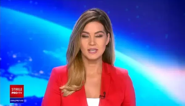 Doi pui de koala, vedetele unei Grădini Zoologice din Australia