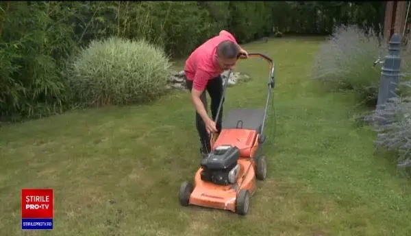 Asiaticii sunt cei mai căutați angajați de către companiile mari și familiile înstărite din România