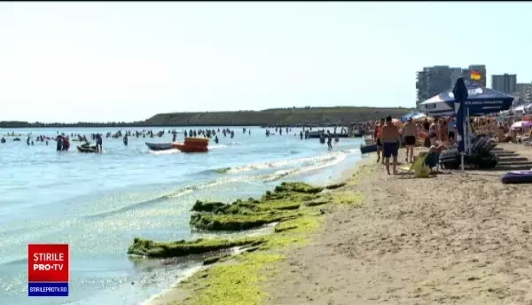 Turiștii de pe litoral continuă să cumpere alimente de la vânzătorii ambulanți. Regulile de igienă nu există