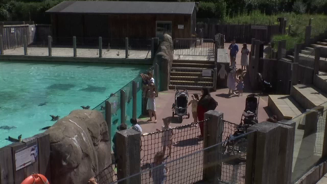 Cea mai veche grădină zoologică din lume, în pericol de dispariție. Apelul emoționant al unei legende