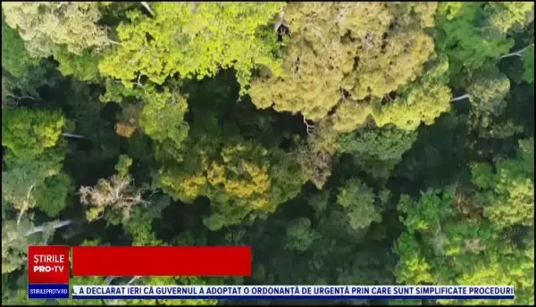 Cea mai veche grădină zoologică din lume, în pericol de dispariție. Apelul emoționant al unei legende