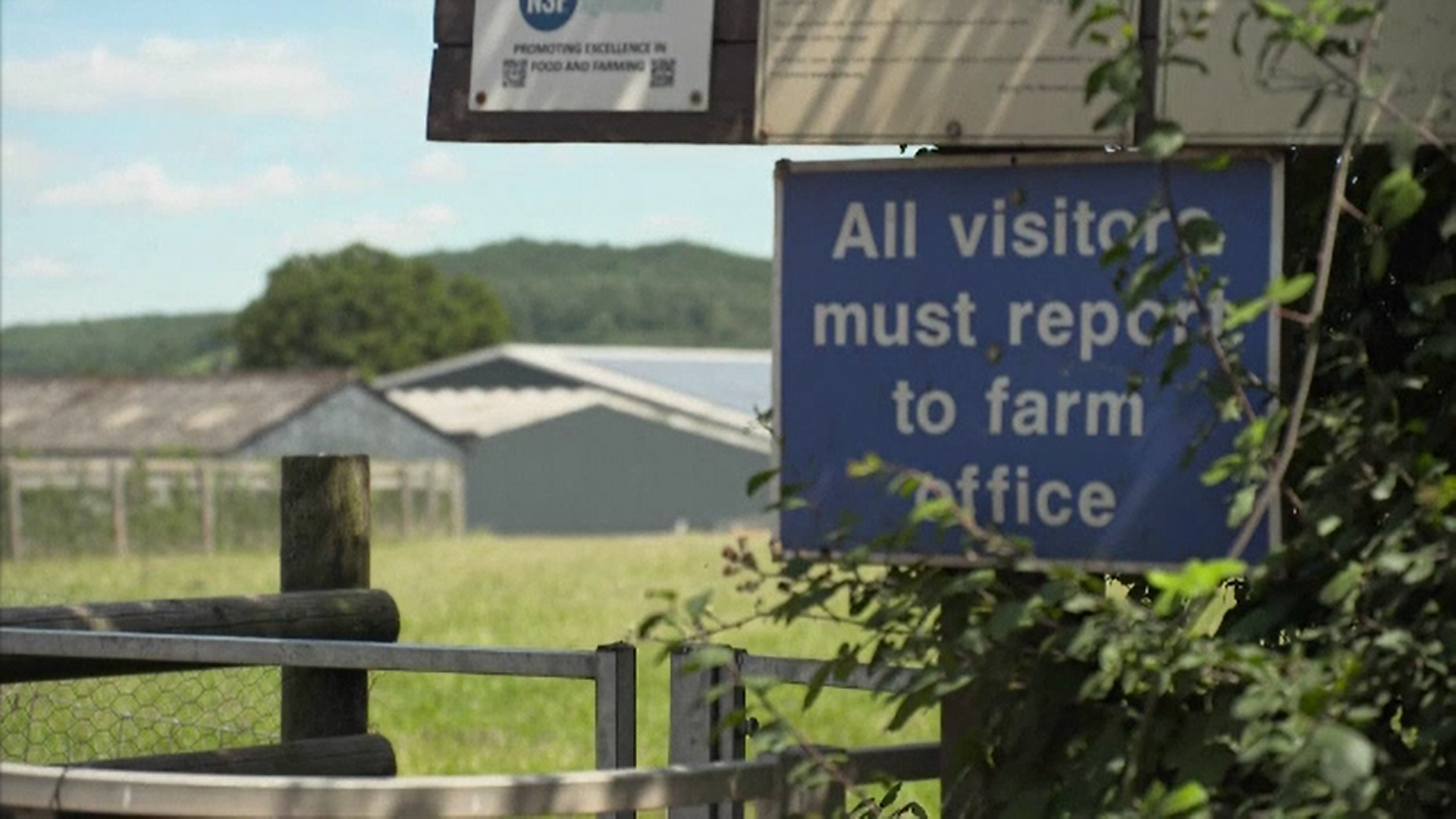 Stare de urgenţă la o fermă agricolă din nordul Angliei unde lucrează şi sute de muncitori români