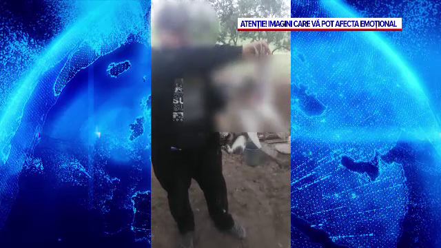 Gest revoltător în județul Cluj. Un bărbat, filmat în timp ce maltrata o pisică