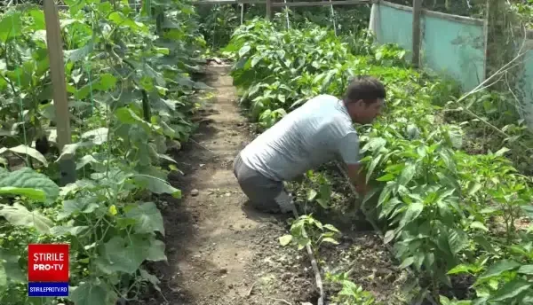 Lecție de viață de la un tânăr din Vaslui. Muncește și este fericit, deși are ambele picioare amputate