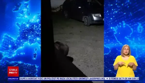 Lucalnicii din Mureș sunt terorizați de urși. "Eu nu am auzit urs să mănânce găini"