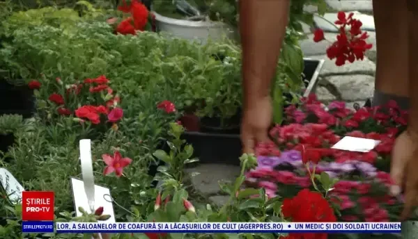 „Piața de flori altfel”, la a patra ediție. Cum a înflorit o stradă din Cluj-Napoca