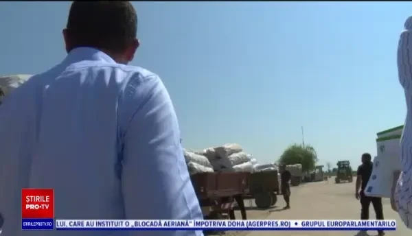 Asociaţiile agricole, soluția pentru fermele de mici dimensiuni. Cum sunt sprijinite de stat