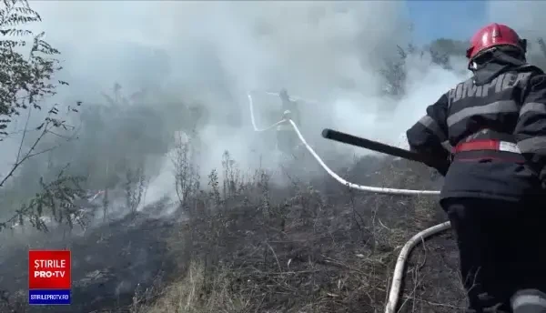 O femeie din Vaslui era să le dea foc vecinilor. A pornit din greșeală un incendiu