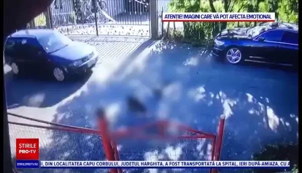 Imagini șocante. O mașină trece peste niște căței întinși la soare pe o șosea din Județul Suceava