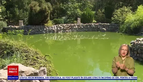 Țestoase ucise de vizitatori la Grădina Botanică din Galați. Mesajul disperat al angajaților