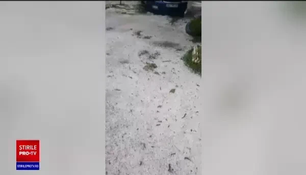 Comună din județul Bacău, devastată de grindină. Culturile agricole, distruse