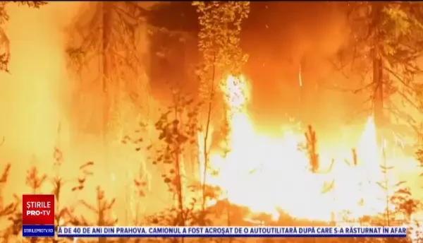 Incendiile de vegetaţie mistuie Siberia. Sunt 100 de focare active