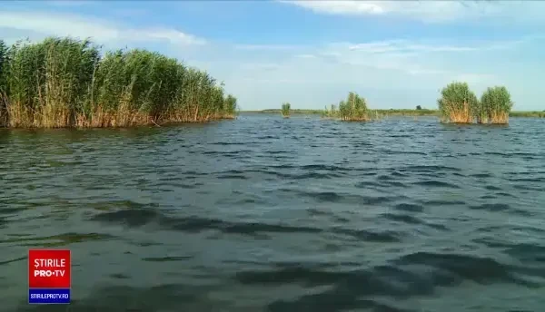 Cea mai tânără deltă a Europei se află în România. Tot mai mulți bucureșteni o vizitează