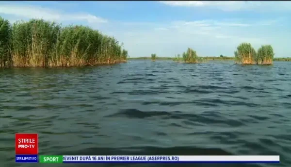 Cea mai tânără deltă a Europei se află în România. Tot mai mulți bucureșteni o vizitează.