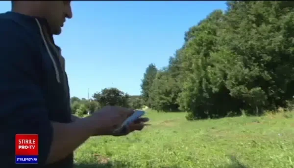 Imagini dramatice în Gorj. Mai mulți câini au fost găsiți morți pe marginea drumului