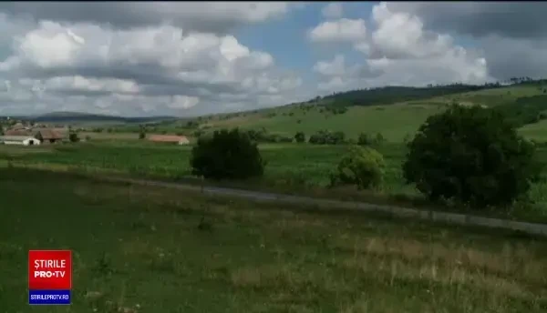 A fost înjunghiată în propria casă pentru niște cercei și un telefon. Femeia este în stare gravă